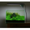 аквариум купить