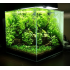аквариум купить