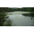 Микрозим ПОНД ТРИТ